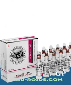 Magnum Test-E 300