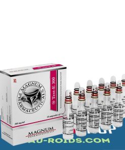 Magnum Test-E 300